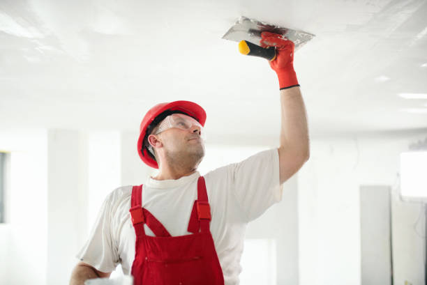 Best Comprehensive Air Testing for Mold Contaminants  in Lockhart, TX